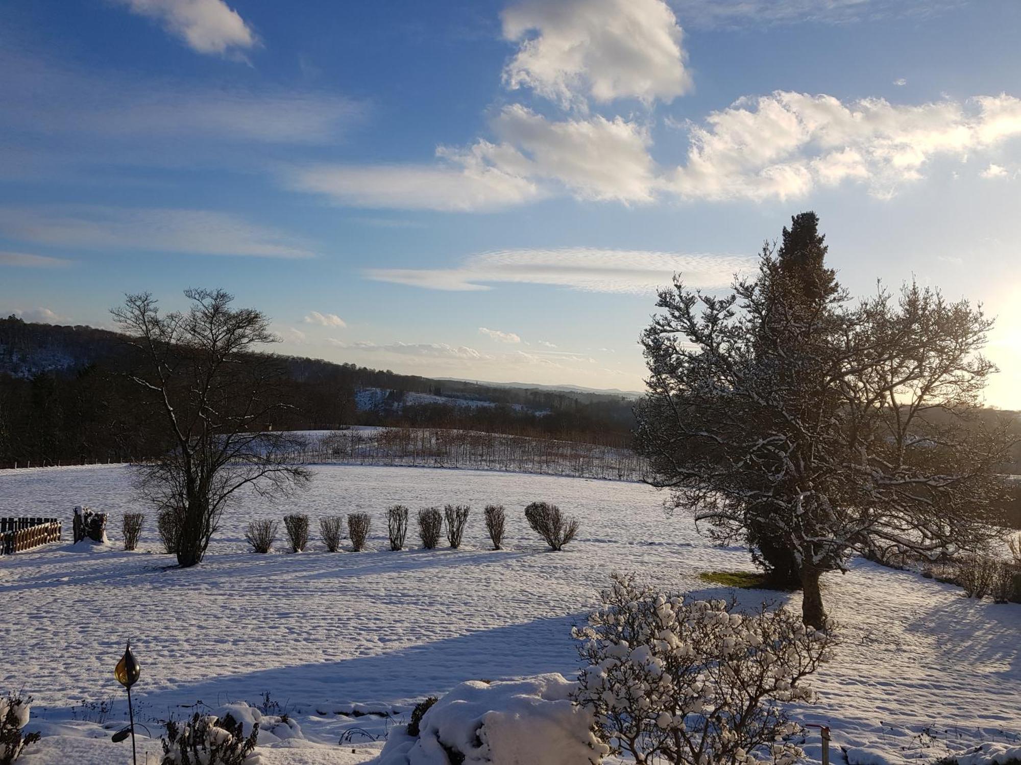 WinterscheiderbrolFewo Panoramablickアパートメント エクステリア 写真